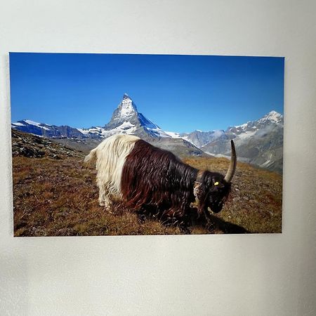 Haus Vira Leilighet Zermatt Eksteriør bilde