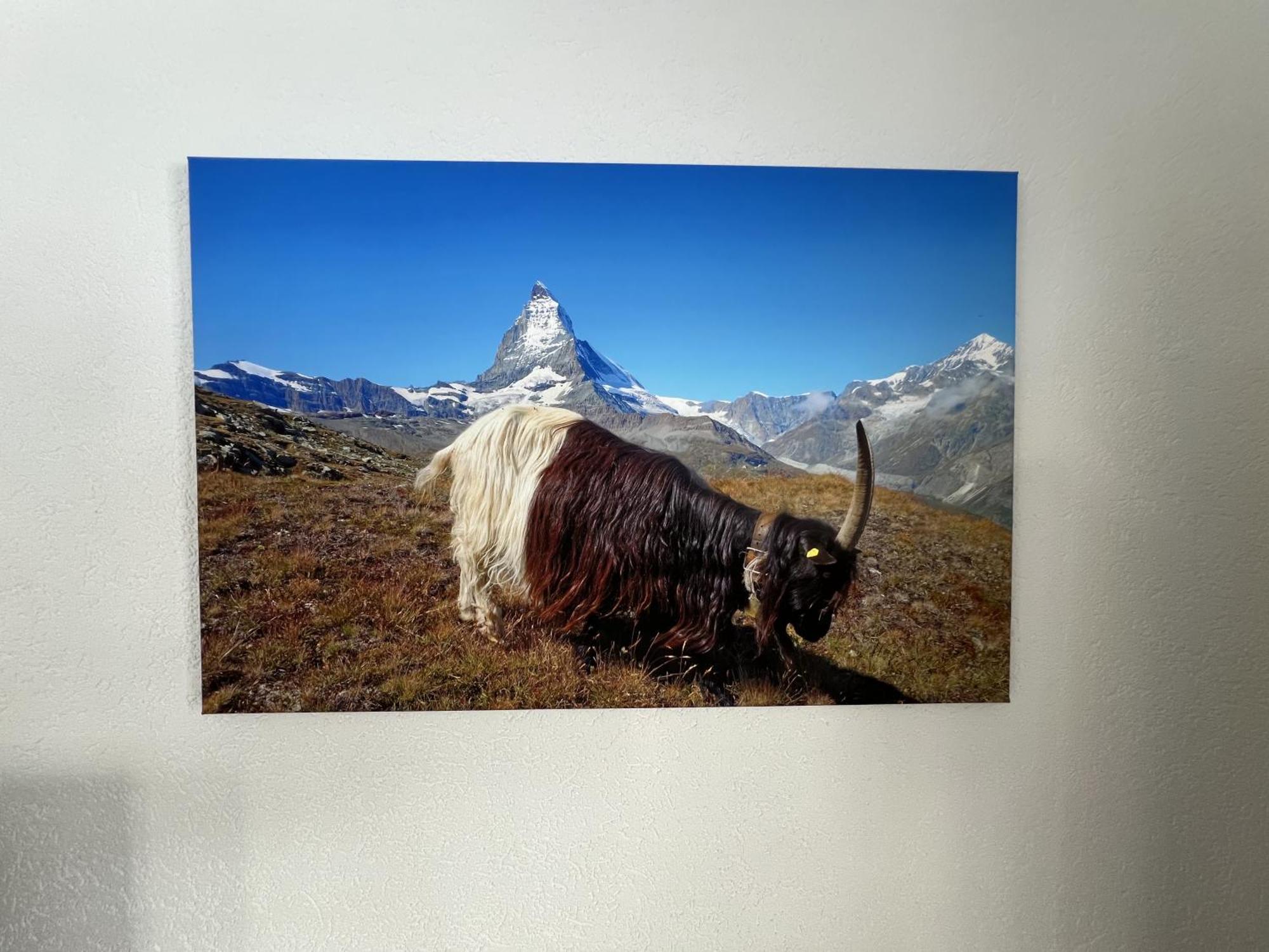 Haus Vira Leilighet Zermatt Eksteriør bilde